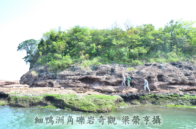 細鴨洲角礫岩奇觀 梁榮亨攝